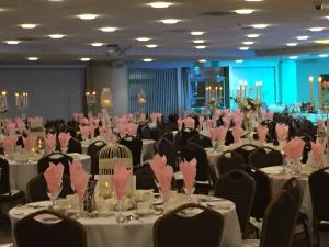 Charity Event for Breast Cancer held at the KC Stadium